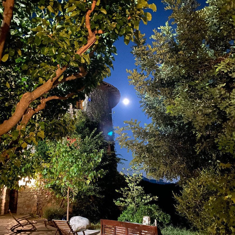 trees with the tower of 'La Tour Melas' in the buckroung in the sunchine day